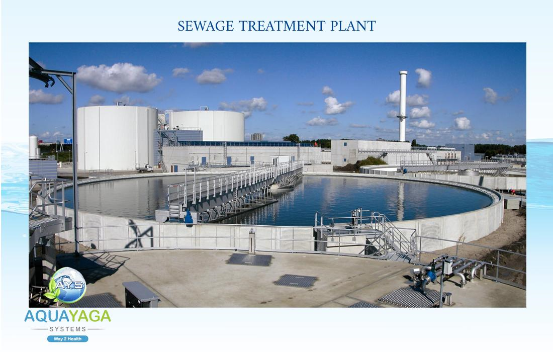 STP Plant